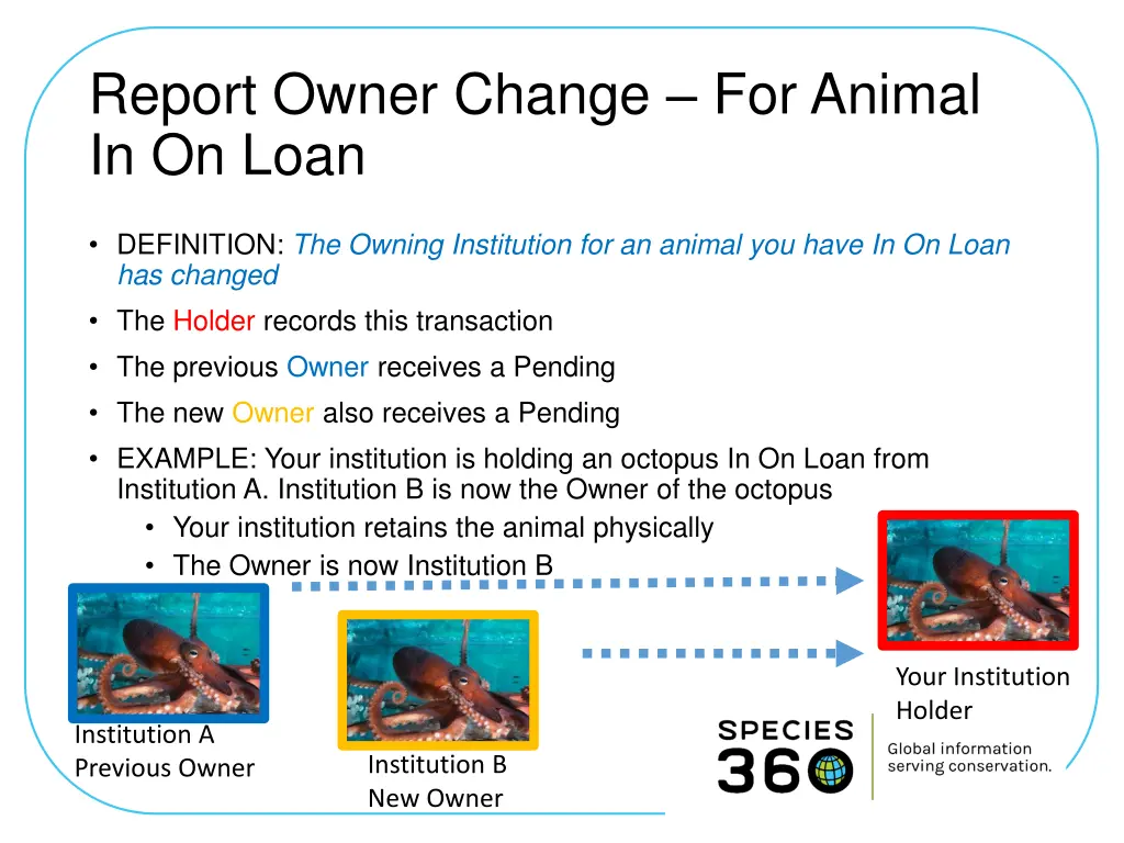 report owner change for animal in on loan