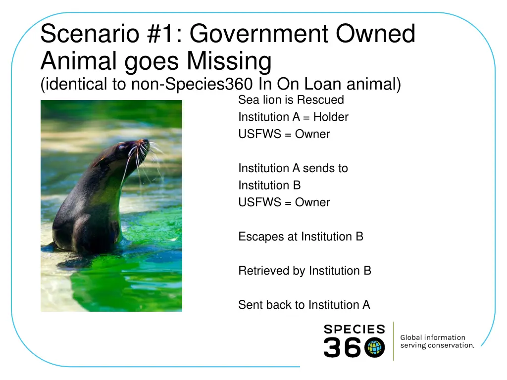 scenario 1 government owned animal goes missing