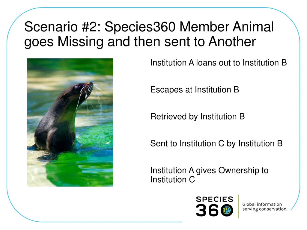 scenario 2 species360 member animal goes missing