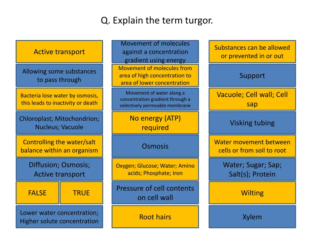 q explain the term turgor