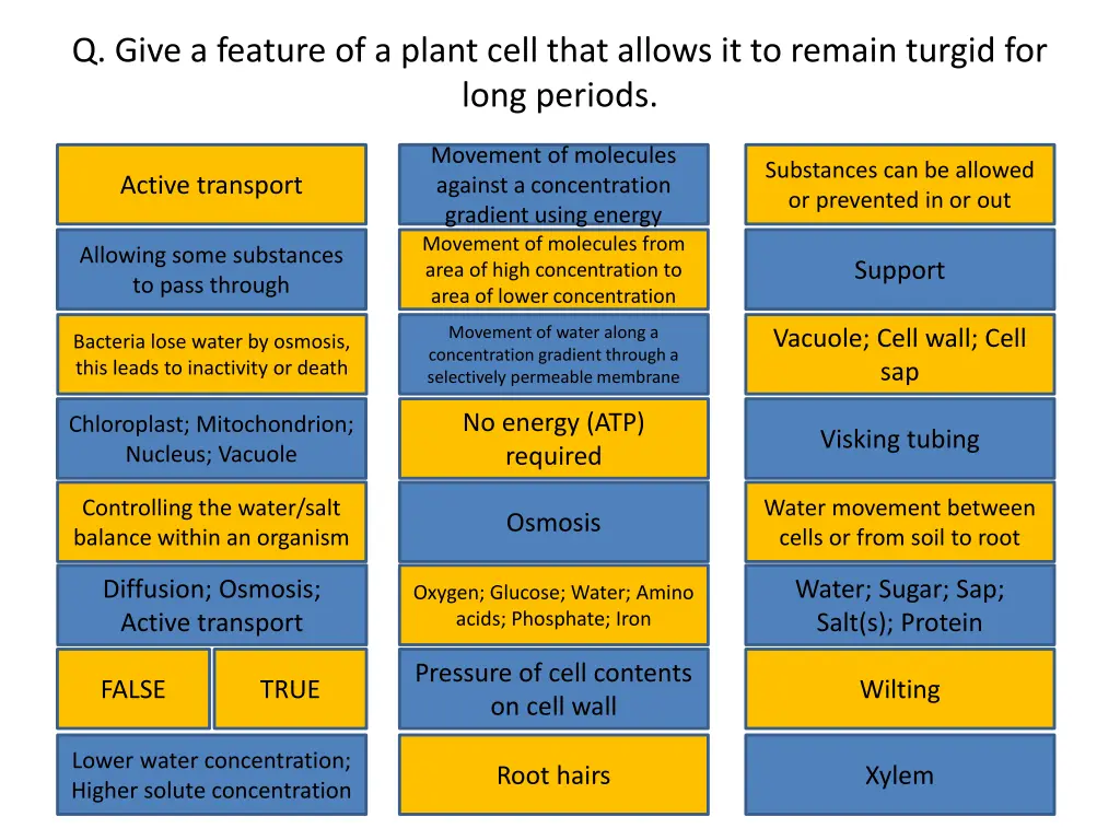 q give a feature of a plant cell that allows