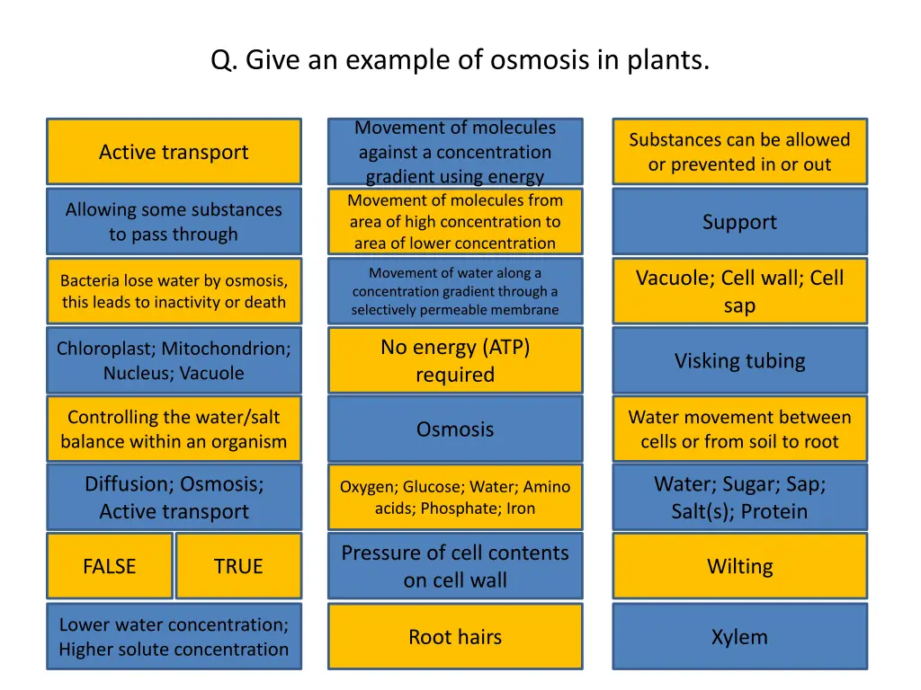 q give an example of osmosis in plants