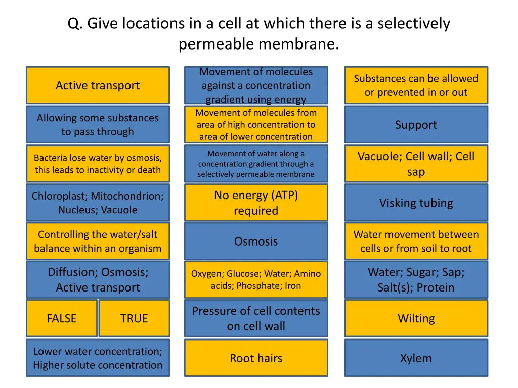 q give locations in a cell at which there