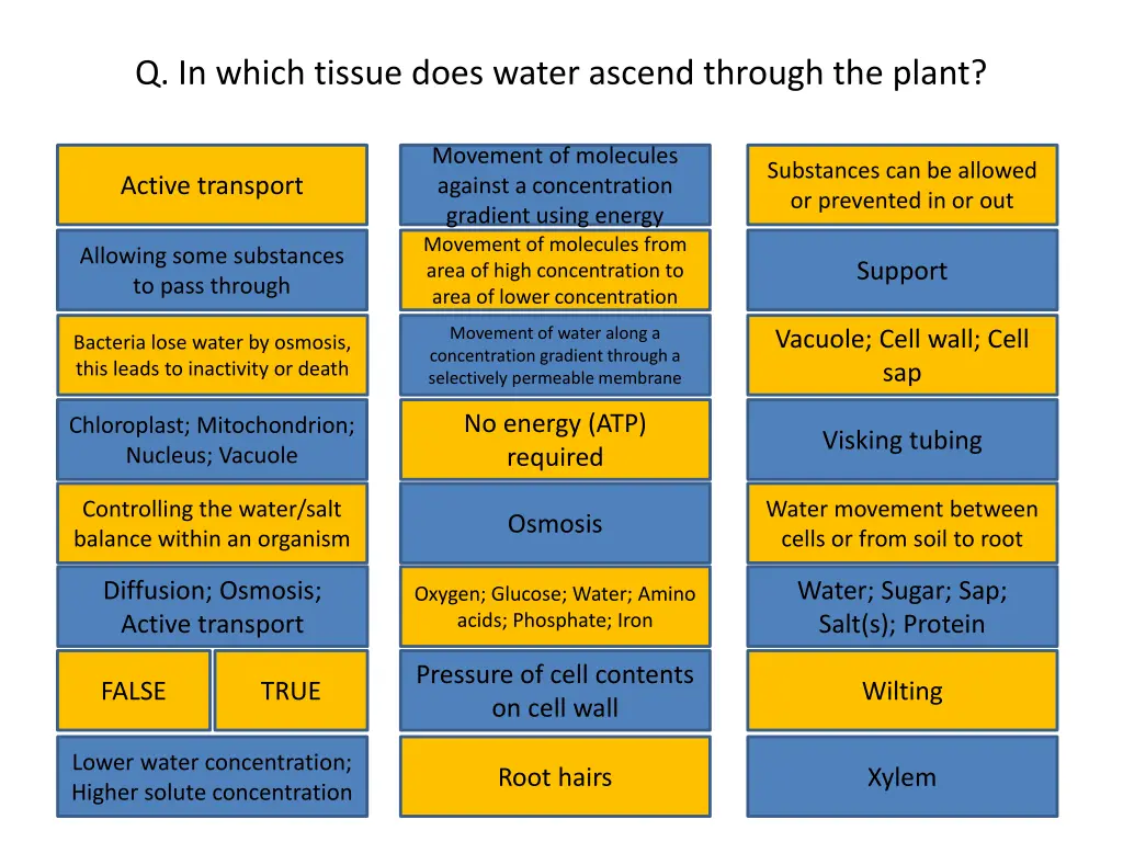 q in which tissue does water ascend through