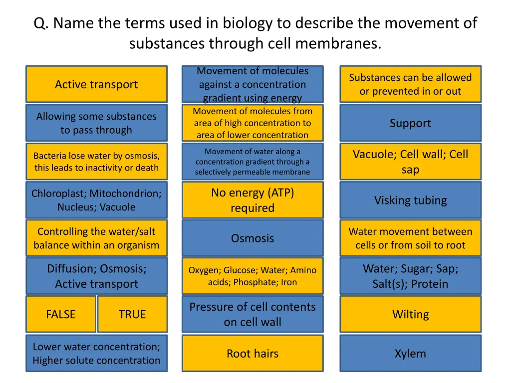 q name the terms used in biology to describe