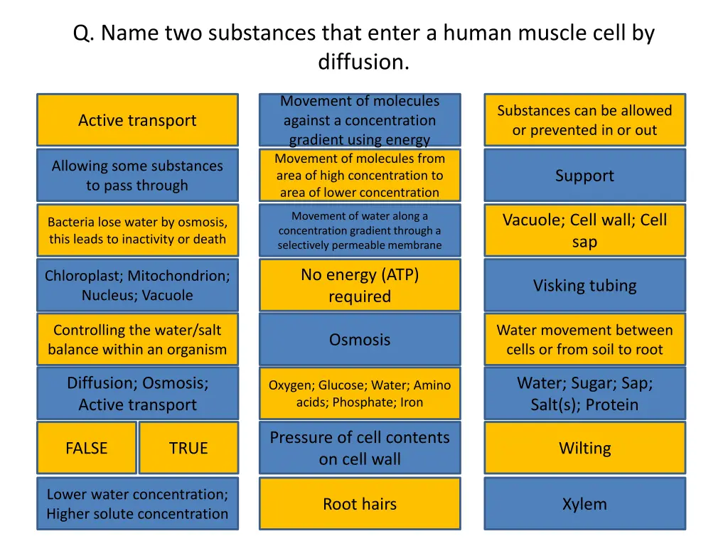 q name two substances that enter a human muscle