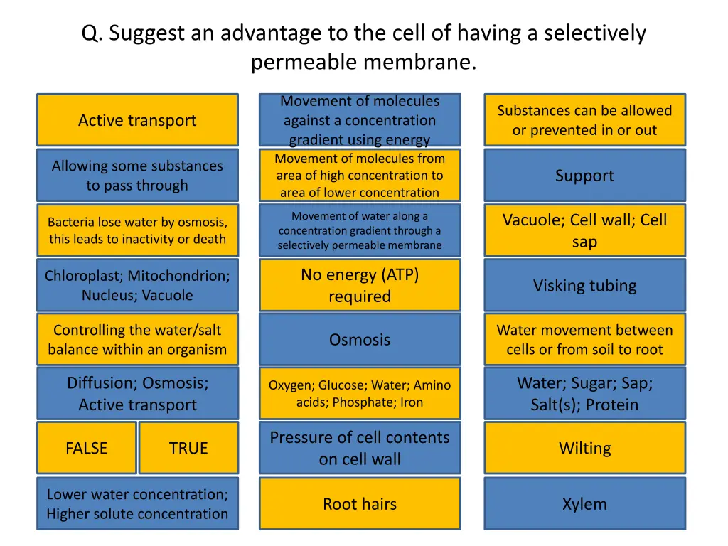 q suggest an advantage to the cell of having