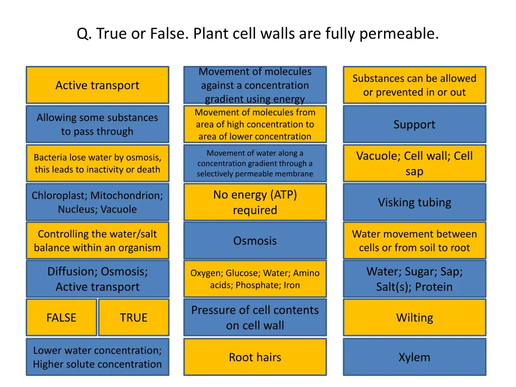 q true or false plant cell walls are fully