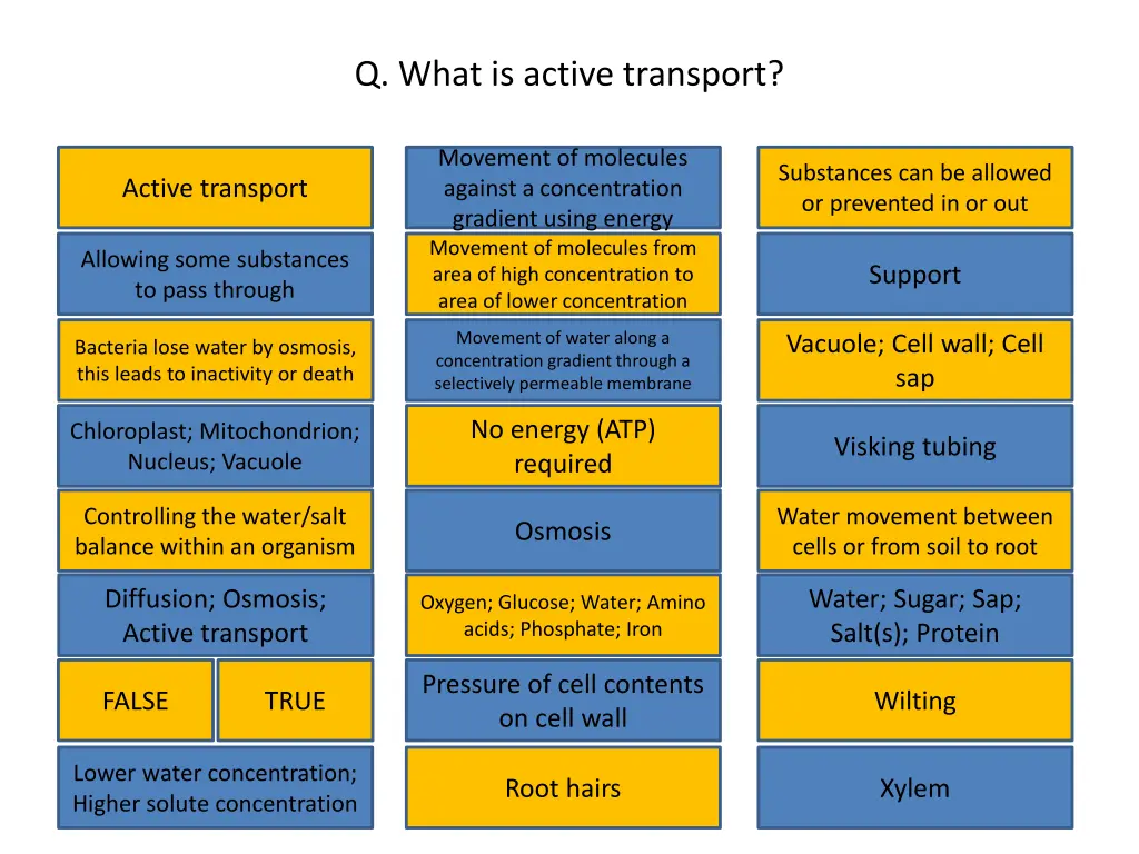 q what is active transport