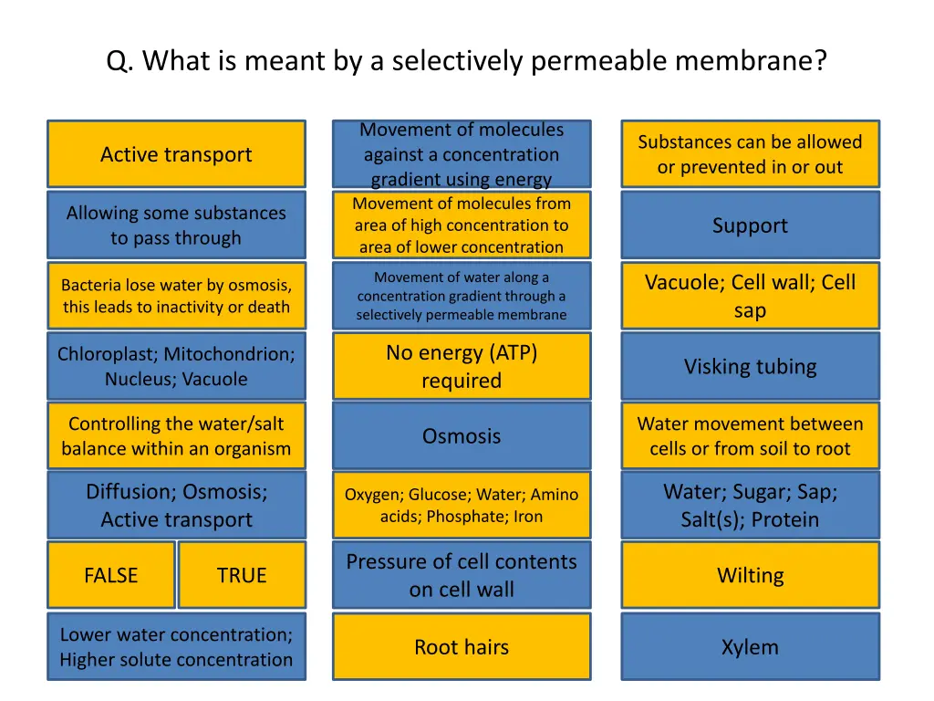 q what is meant by a selectively permeable