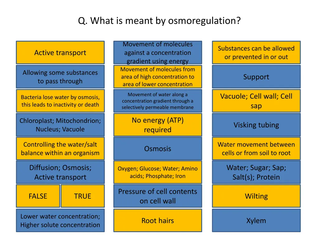 q what is meant by osmoregulation