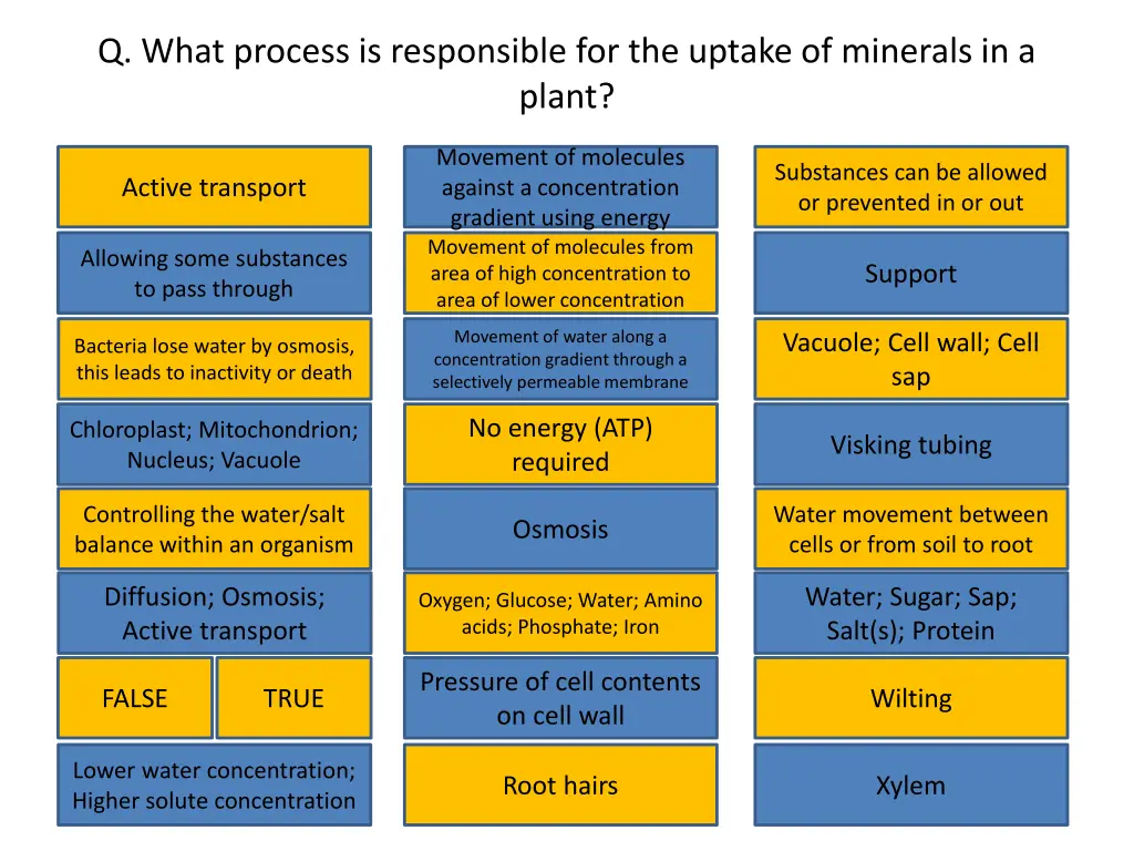 q what process is responsible for the uptake