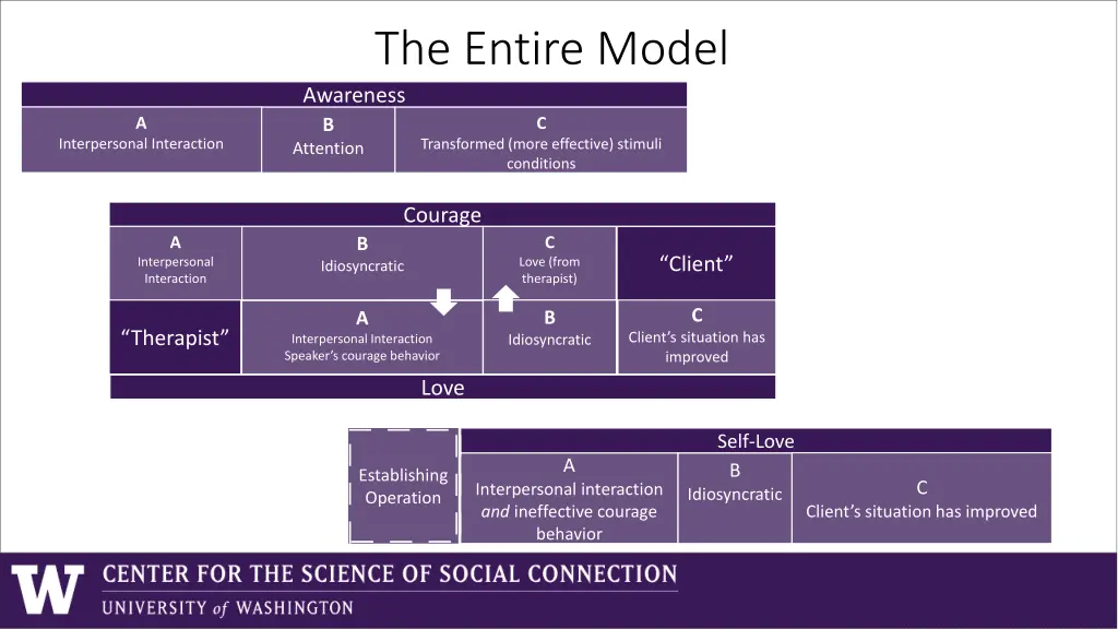 the entire model awareness b attention