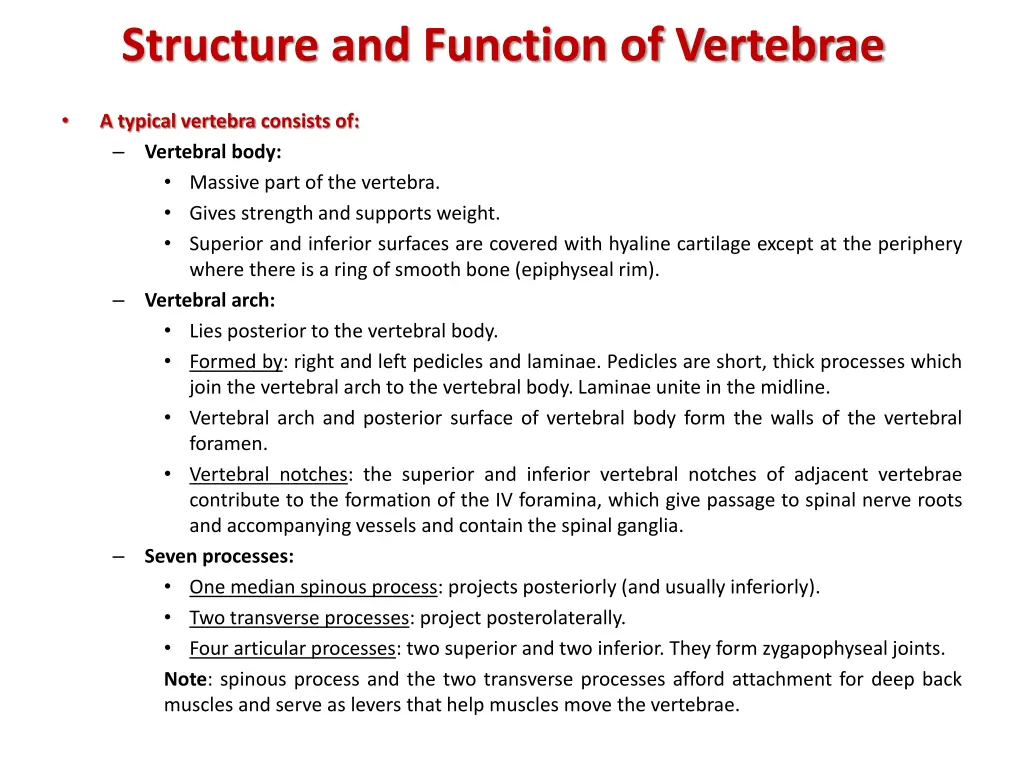 structure and function of vertebrae