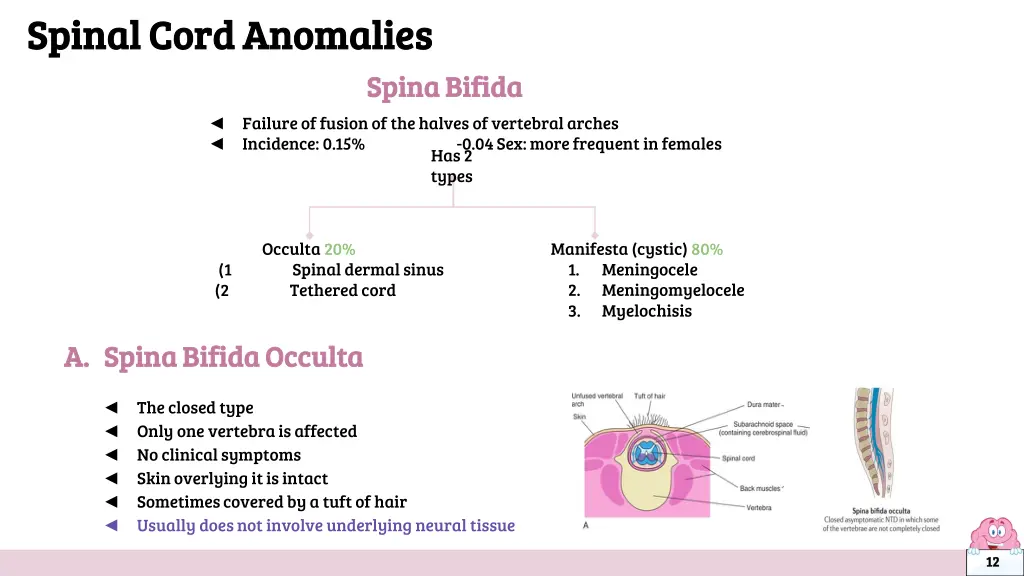 spinal cord anomalies spinal cord anomalies