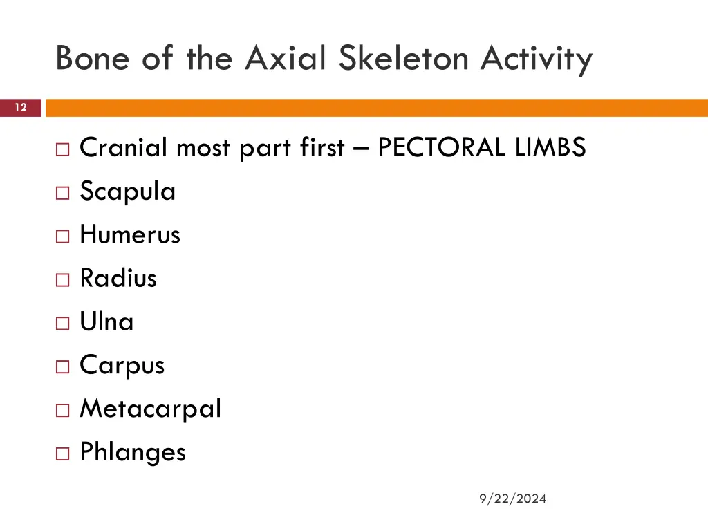 bone of the axial skeleton activity