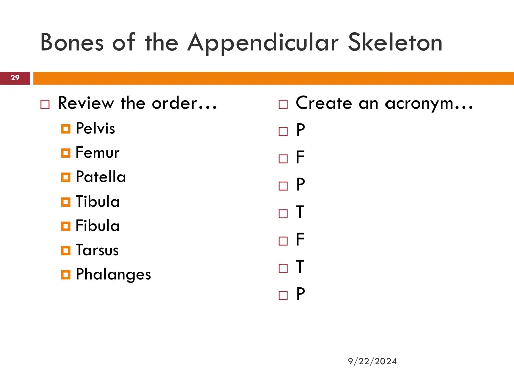 bones of the appendicular skeleton 15