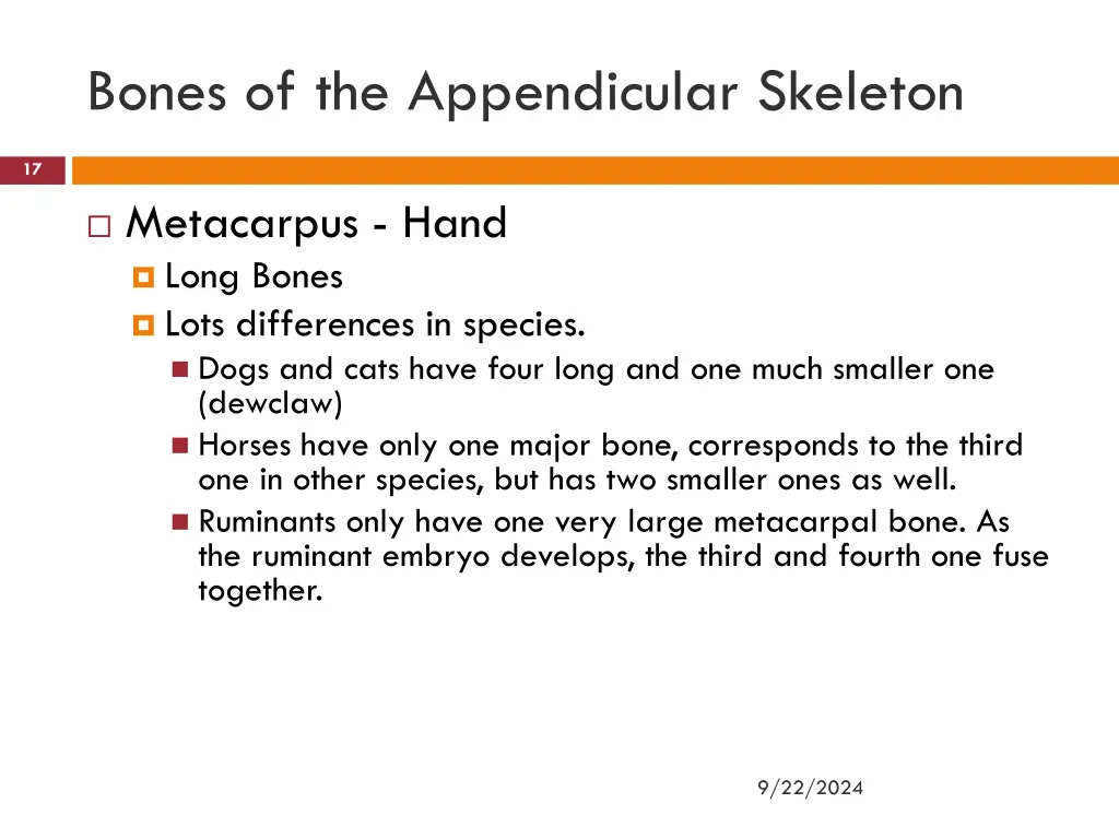 bones of the appendicular skeleton 4