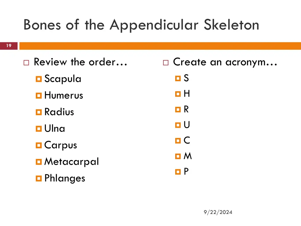 bones of the appendicular skeleton 6