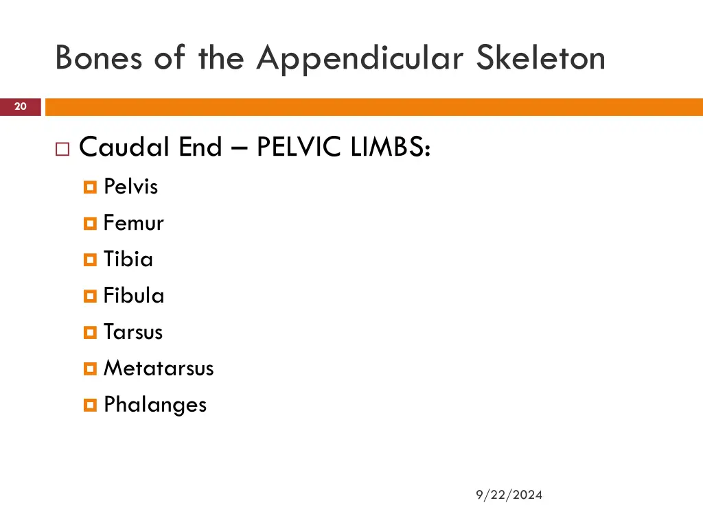 bones of the appendicular skeleton 7