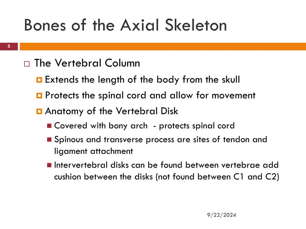 bones of the axial skeleton 1