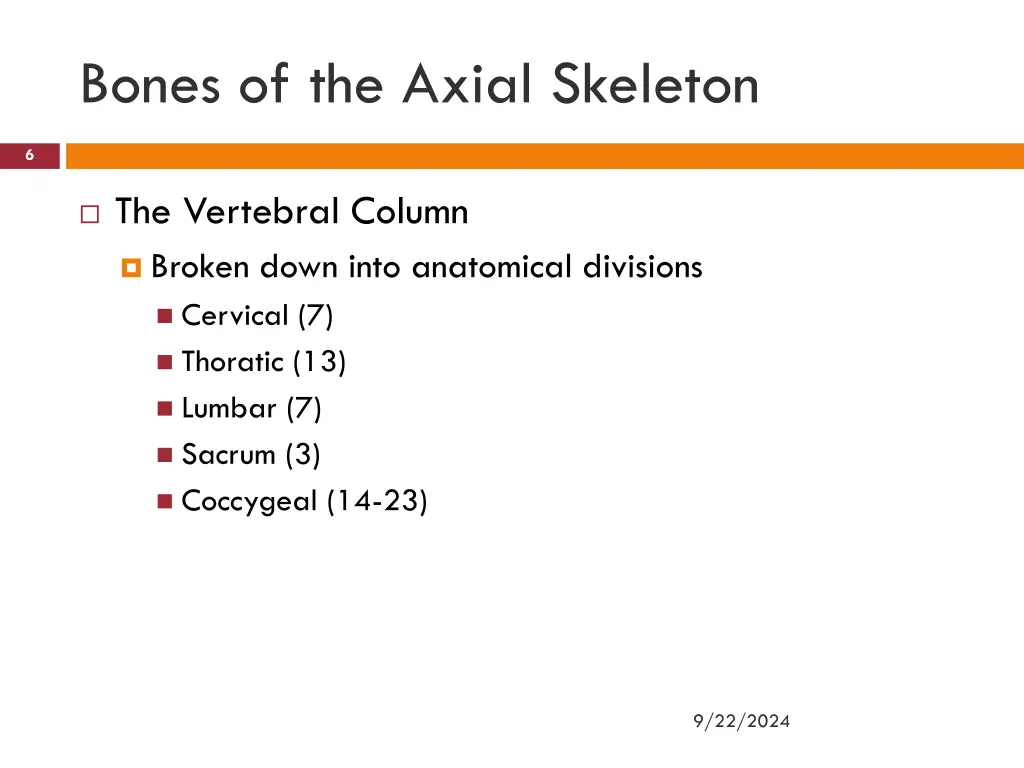 bones of the axial skeleton 2