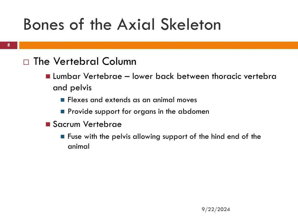 bones of the axial skeleton 4