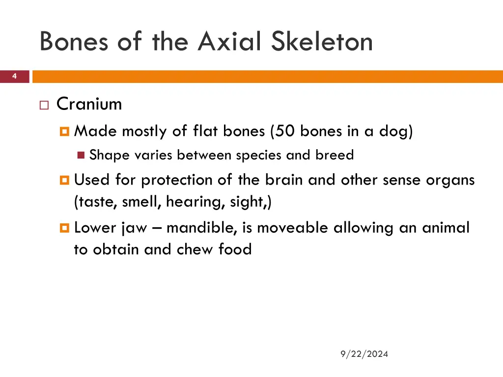 bones of the axial skeleton