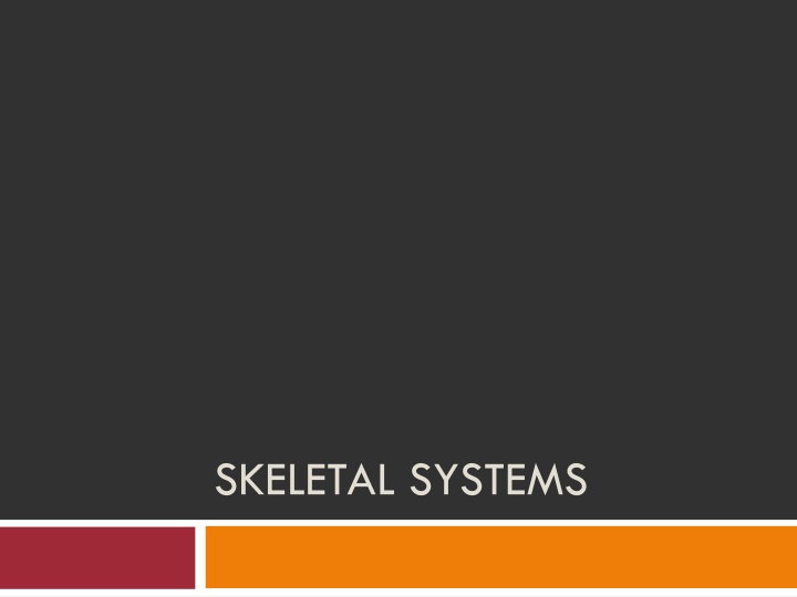 skeletal systems