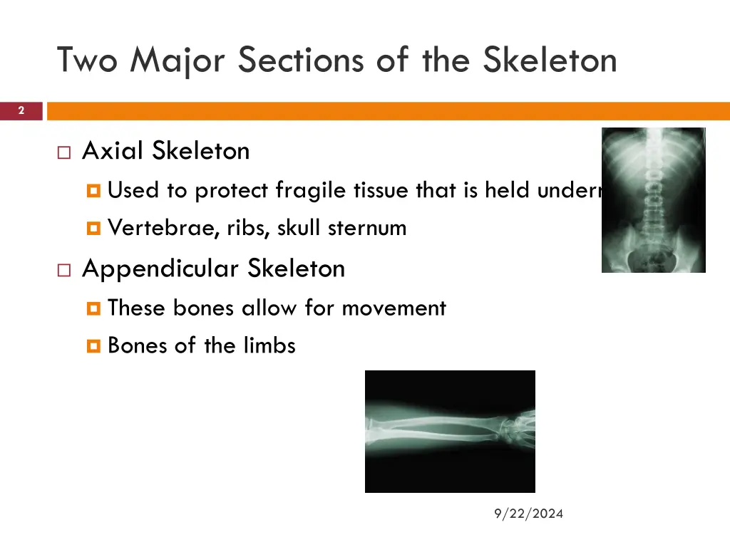 two major sections of the skeleton