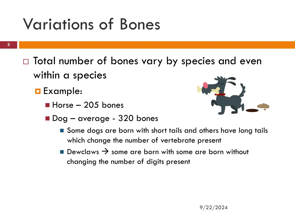 variations of bones