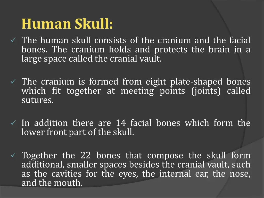 human skull the human skull consists