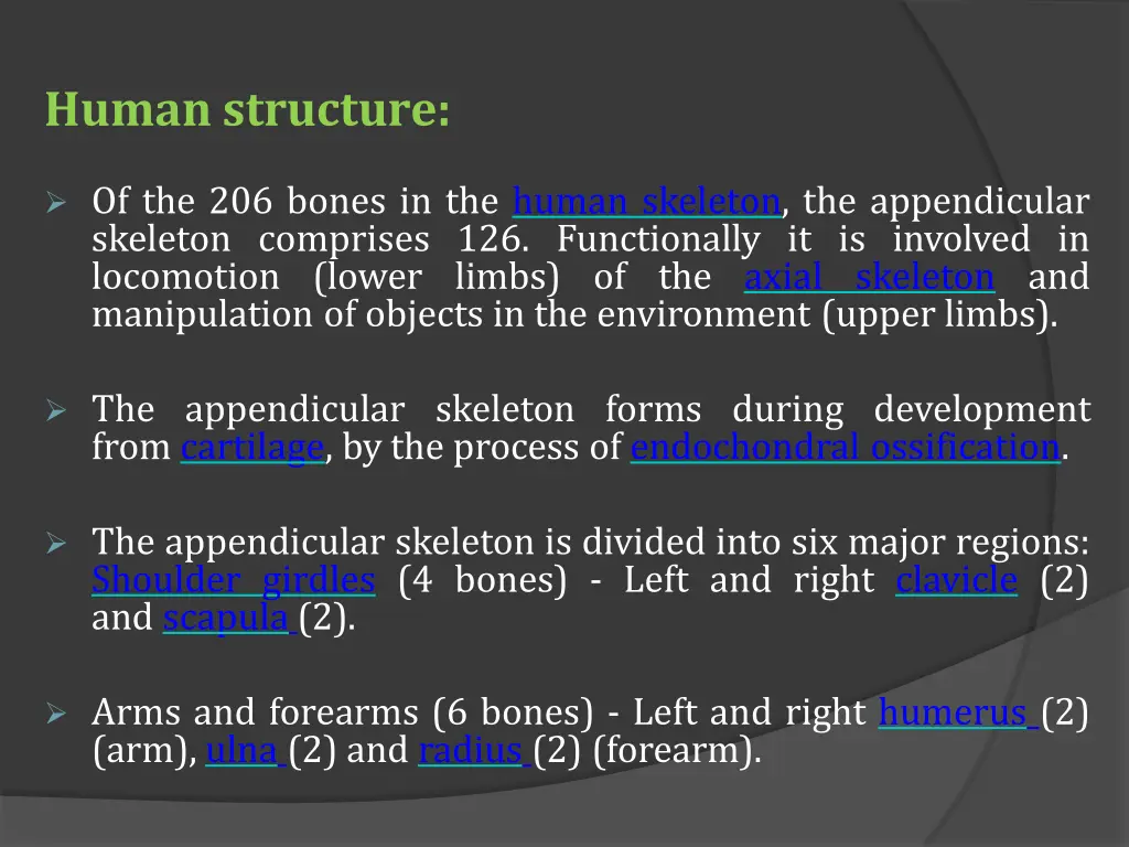 human structure