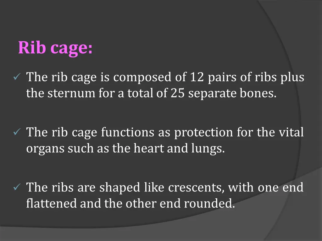 ribcage