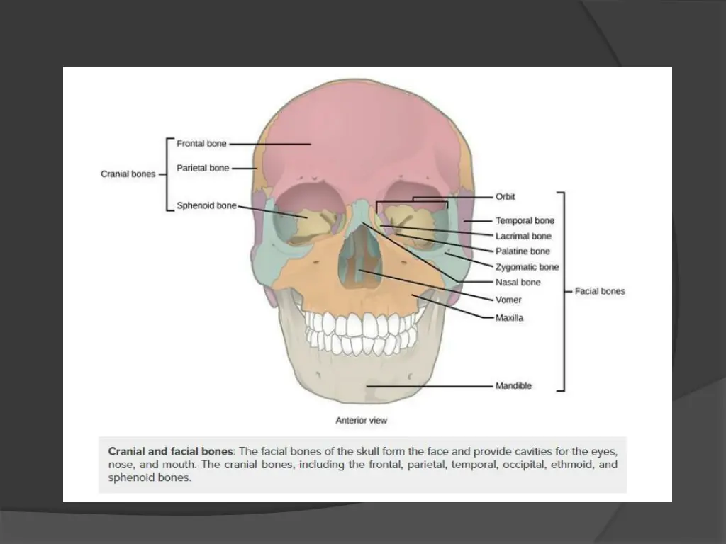 slide15