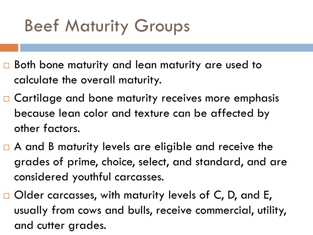 beef maturity groups