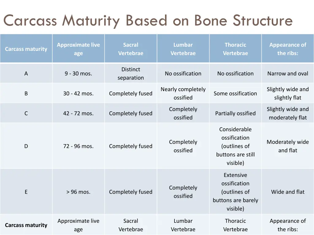 carcass maturity based on bone structure