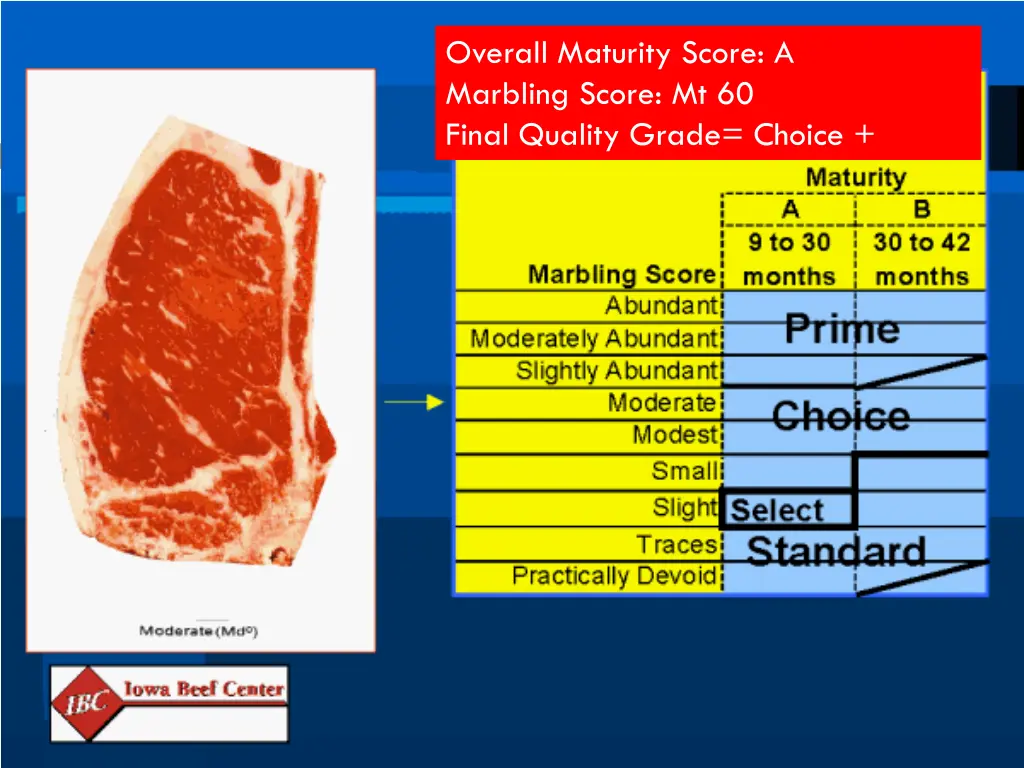 overall maturity score a marbling score 1