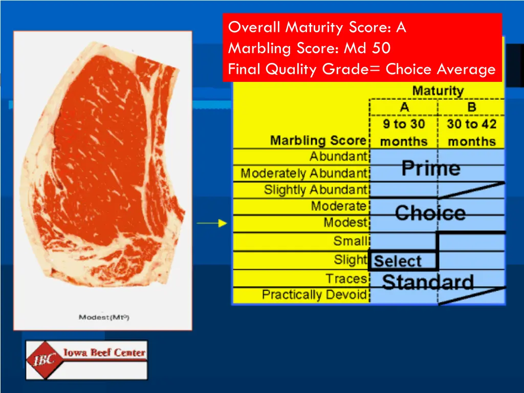 overall maturity score a marbling score 2