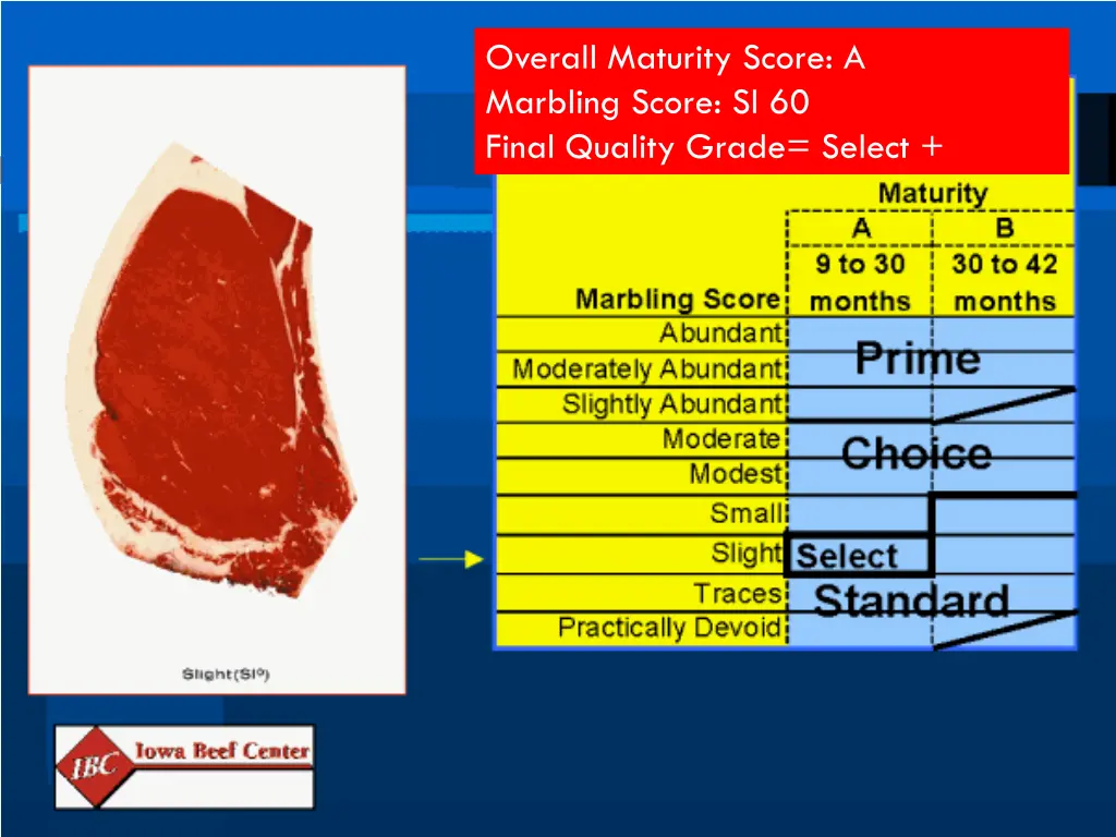 overall maturity score a marbling score 3