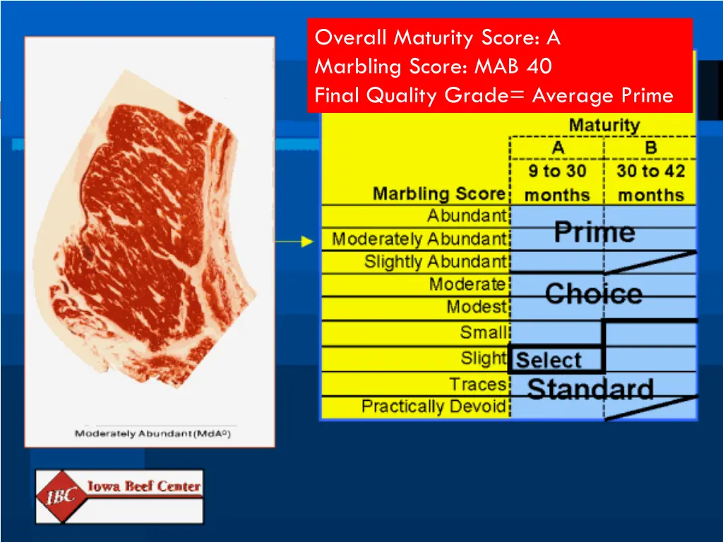 overall maturity score a marbling score