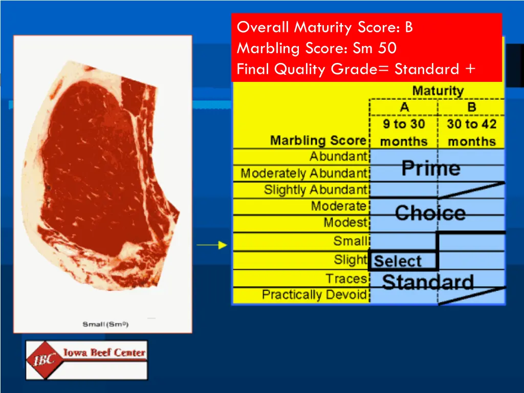 overall maturity score b marbling score 1