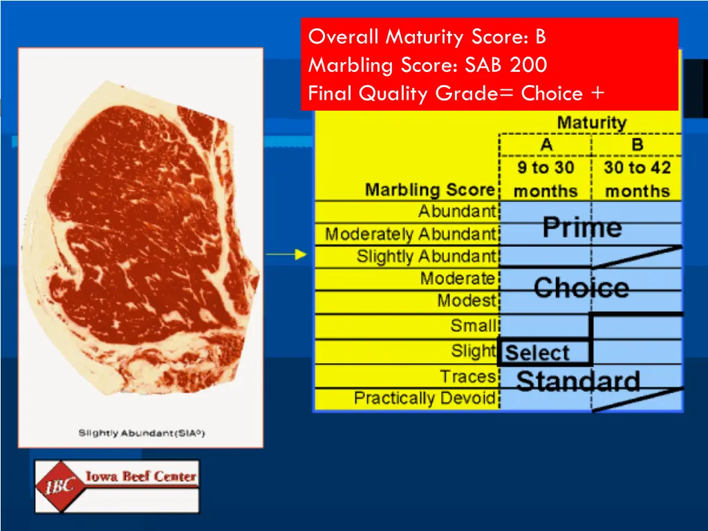 overall maturity score b marbling score