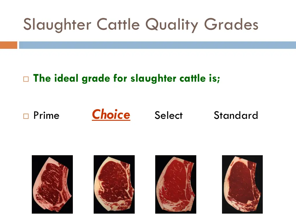 slaughter cattle quality grades 1