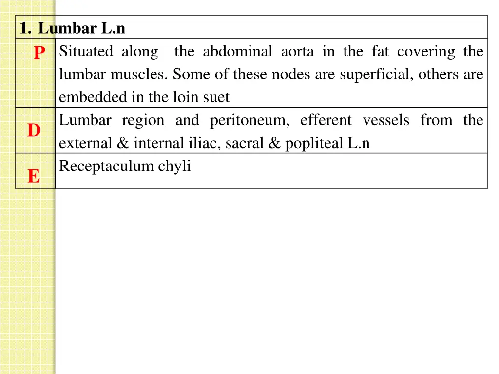 1 lumbar l n p situated along lumbar muscles some