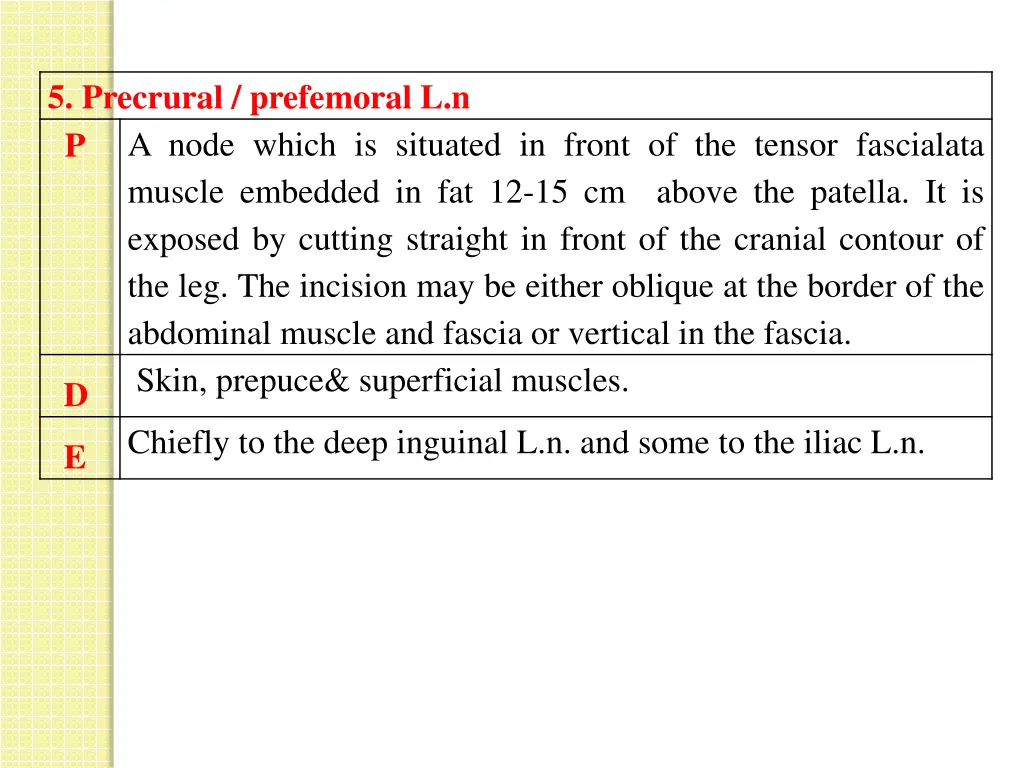 5 precrural prefemoral l n p a node which