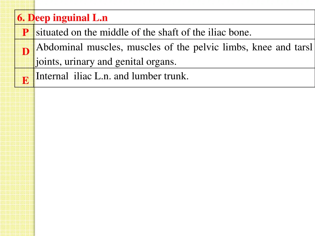 6 deep inguinal l n p situated on the middle