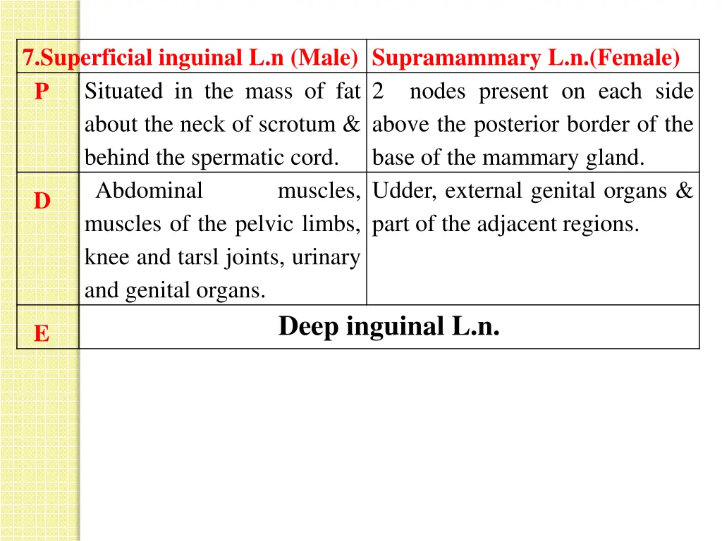 7 superficial inguinal l n male supramammary