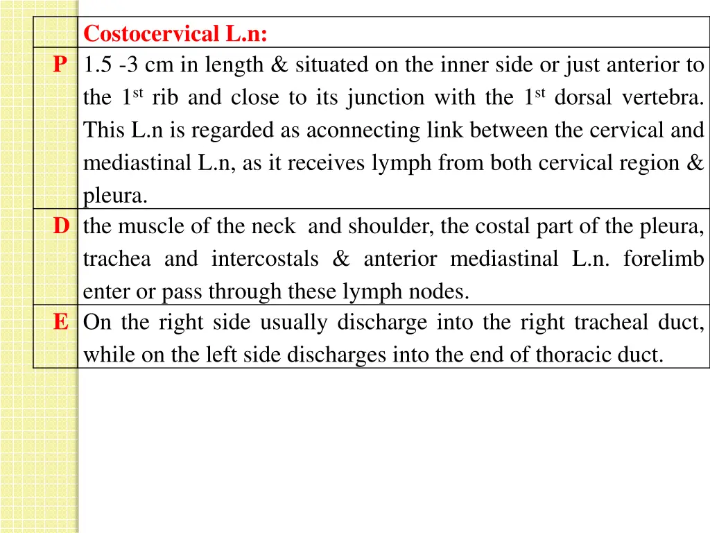 costocervical l n p 1 5 3 cm in length situated