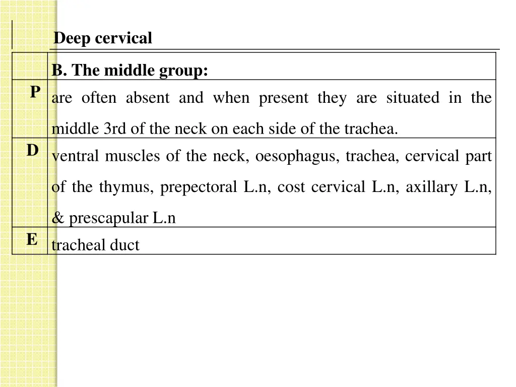 deep cervical 1